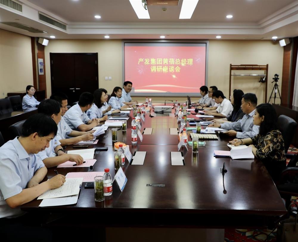 集團黨委副書記、總經(jīng)理黃蓓帶隊調研濟南市工程咨詢院